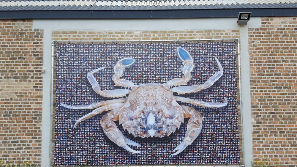 Zwemkrab uit kunstproject TIME vanaf nu ook te zien op het Marien Station Oostende