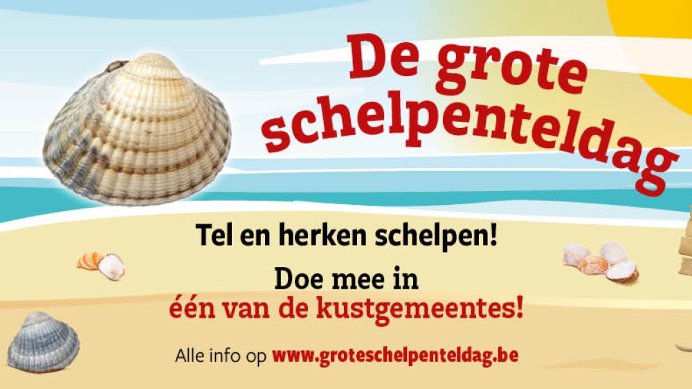 Grote Schelpenteldag 2025 tijdens de Week van het Water