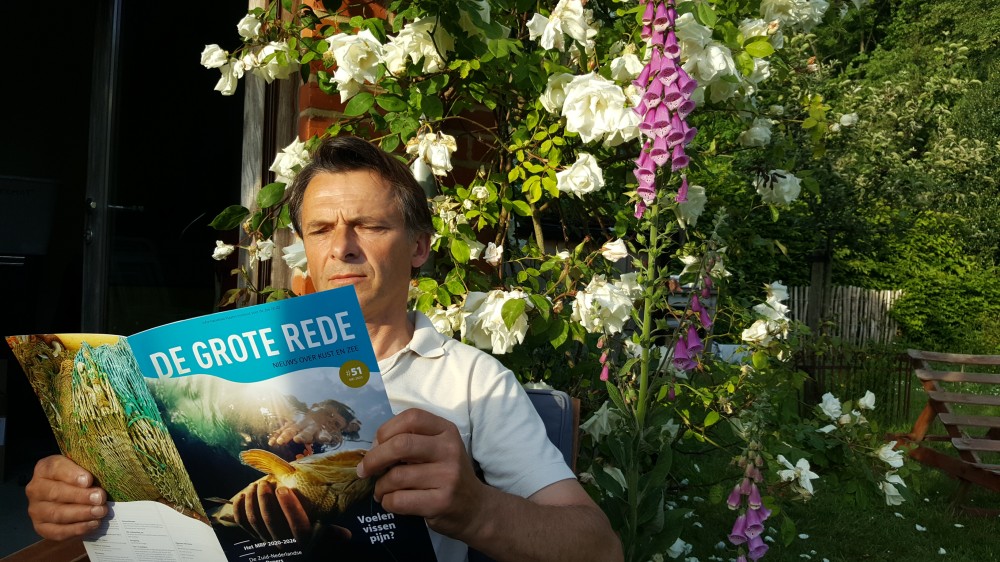 De Grote Rede zwaait uit