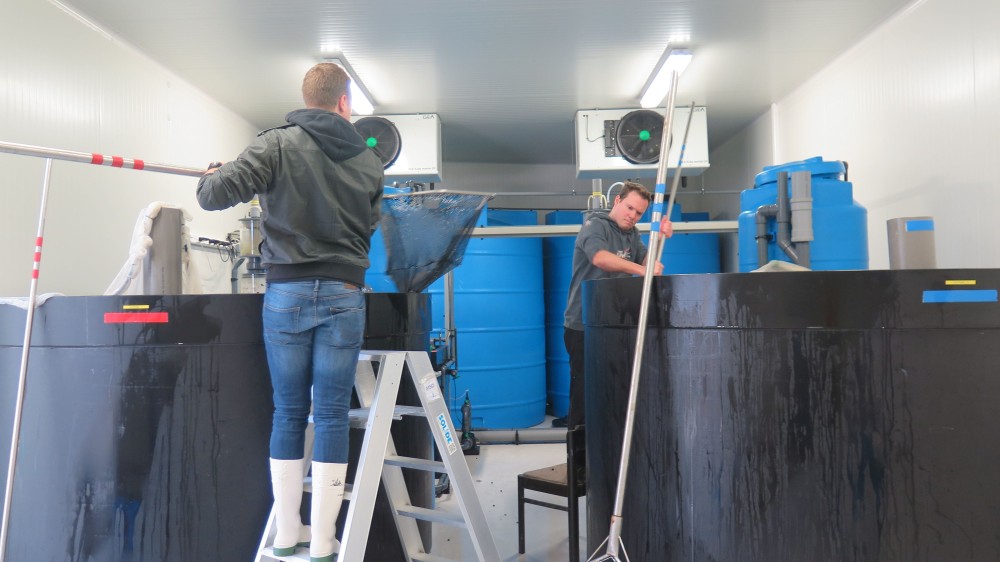 New: water tanks for marine organisms at the Marine Station Ostend