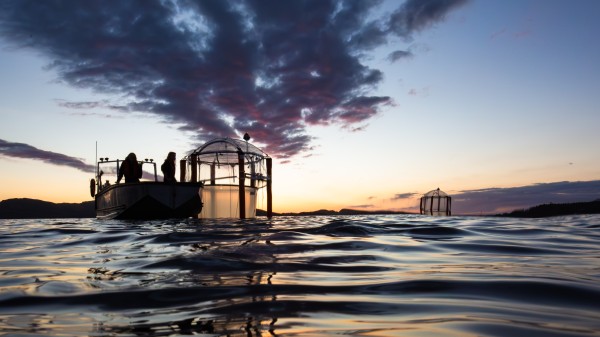 Michael Sswat | GEOMAR