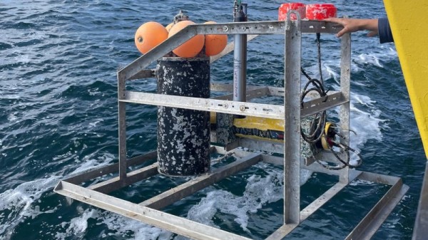 Lancering mariene geluidsbibliotheek voor de Noordzee 