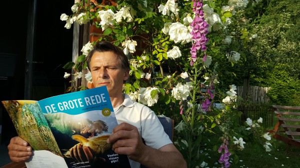 De Grote Rede zwaait uit