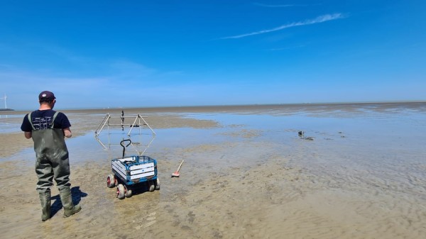 measurements on the beach