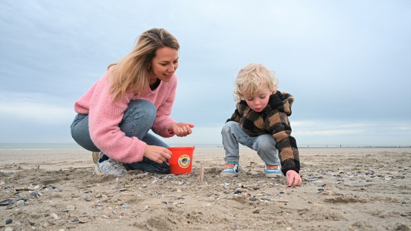 Oude kokkels en recordaantal schelpen op achtste editie Grote Schelpenteldag