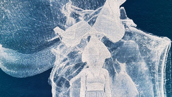 Plankton als inspiratie voor de expo Drifters