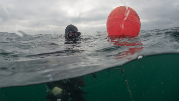 Wetenschappelijk duiken naar hoger niveau getild