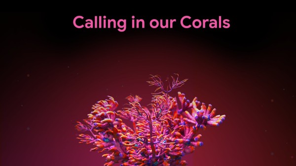 Calling in our Corals: help mee onderwatergeluiden te herkennen