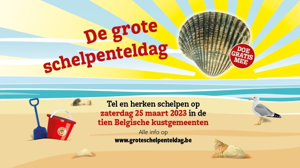 Kom je ook mee tellen op de Grote Schelpenteldag 2023?