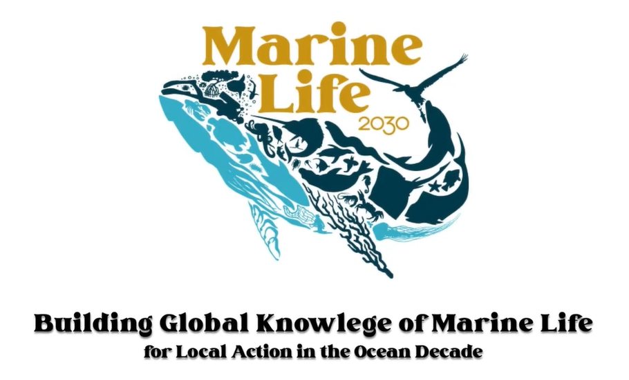 MarineLife2030