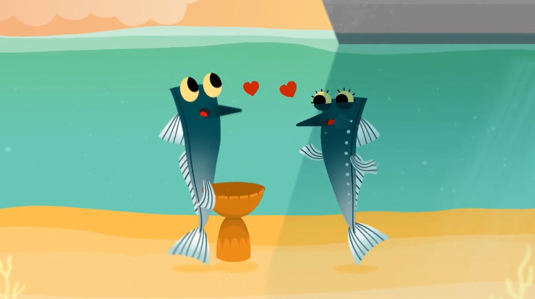 Het zeeleven lijdt onder het lawaai dat mensen onder water veroorzaken. 