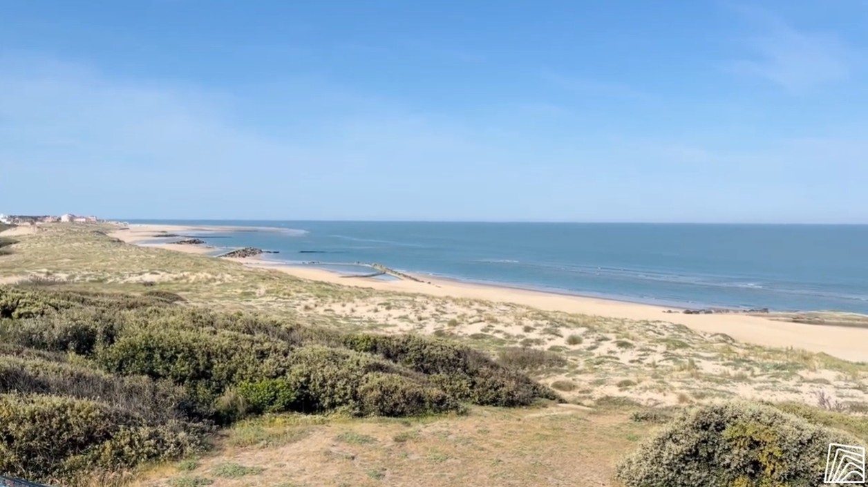 Video: Kustbescherming herdenken