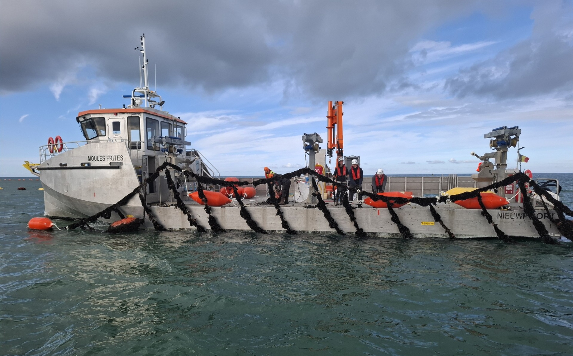 Inspectie van mossellijnen in mosselkwekerij Belgische Noordzee