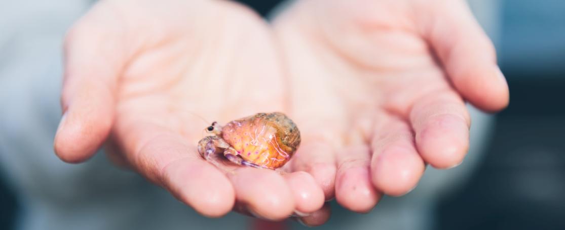 De Zee als Goed Doel