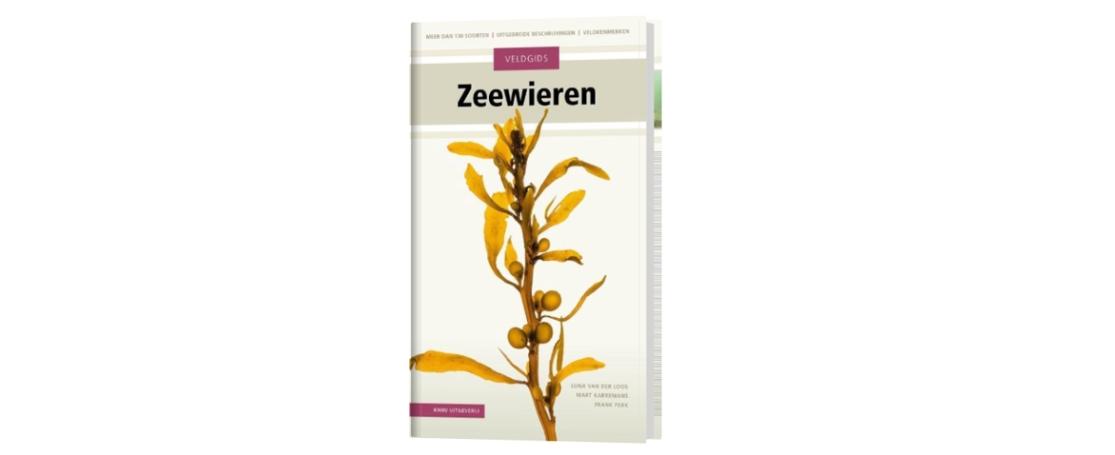 KNNV Veldgids Zeewieren
