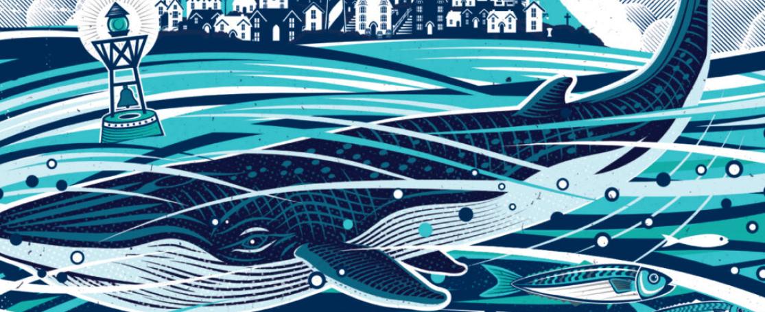 'De dag dat de walvis kwam' van John Ironmonger