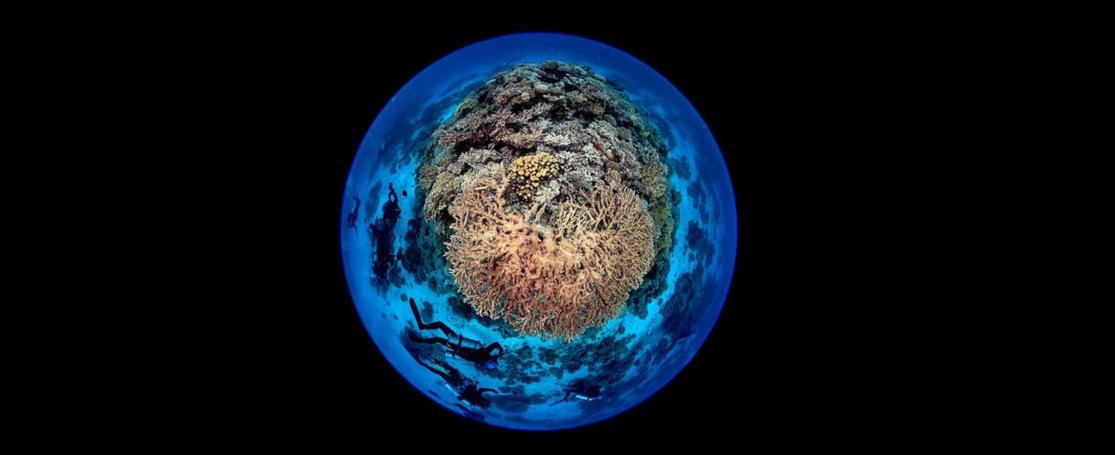 The Second World Ocean Assessment