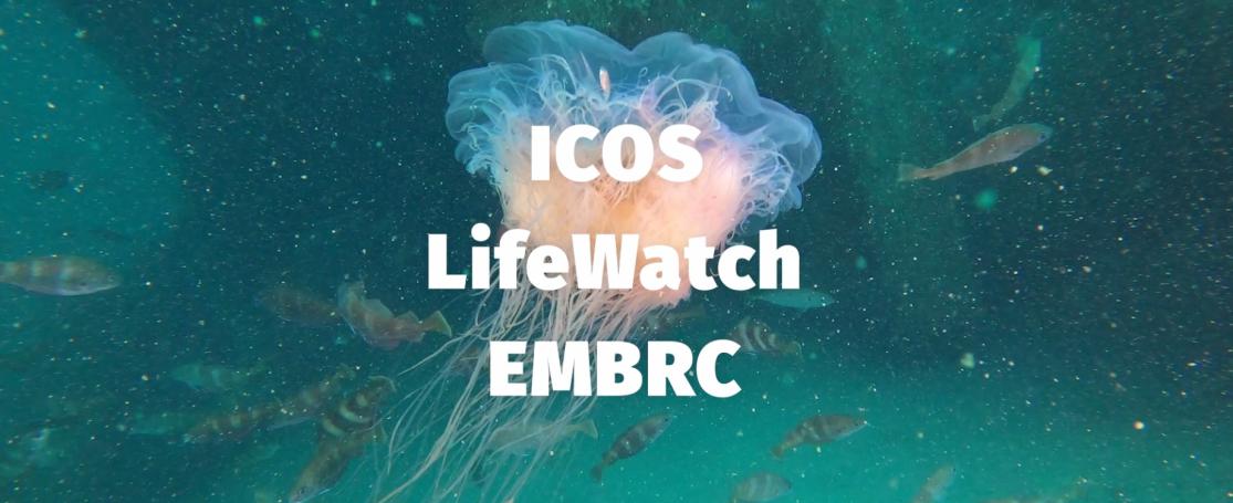 De ESFRI's ICOS, LifeWatch en EMBRC