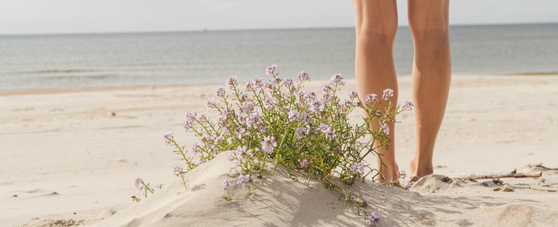 zeeraket op het strand