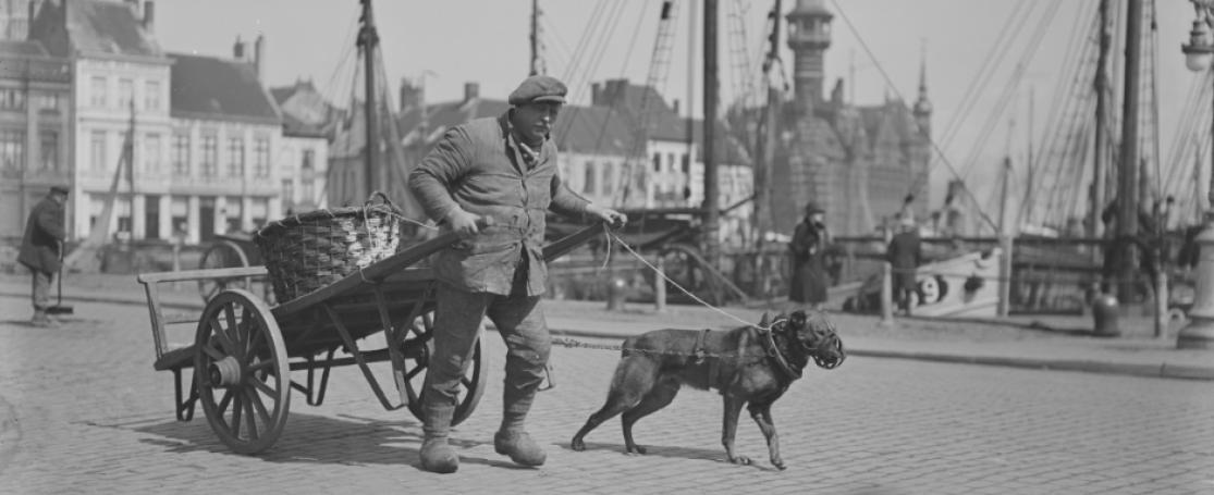 gedigitaliseerde foto Anthony