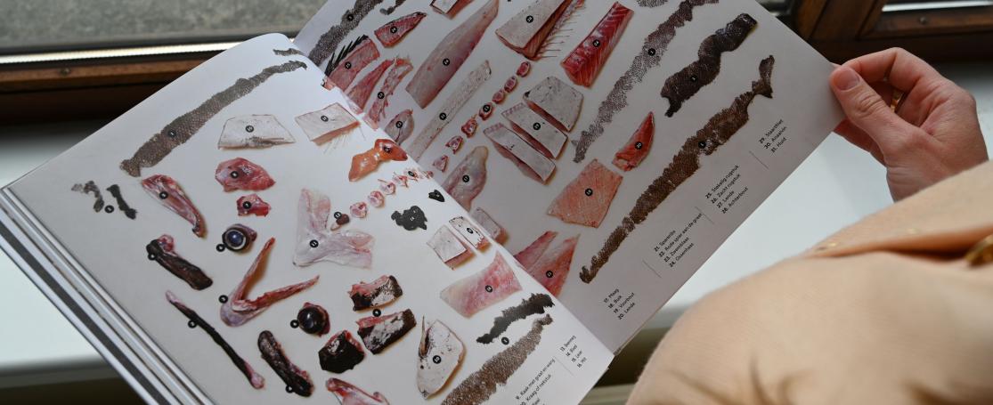 Het kookboek 'De hele vis' door Josh Niland