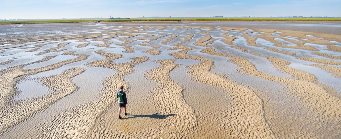 Wetenschappelijk Scheldesymposium 2022