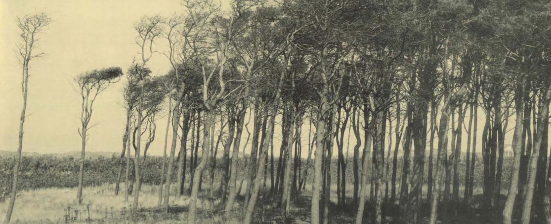 Massart - Bibliografie Geschiedenis van de Middenkust