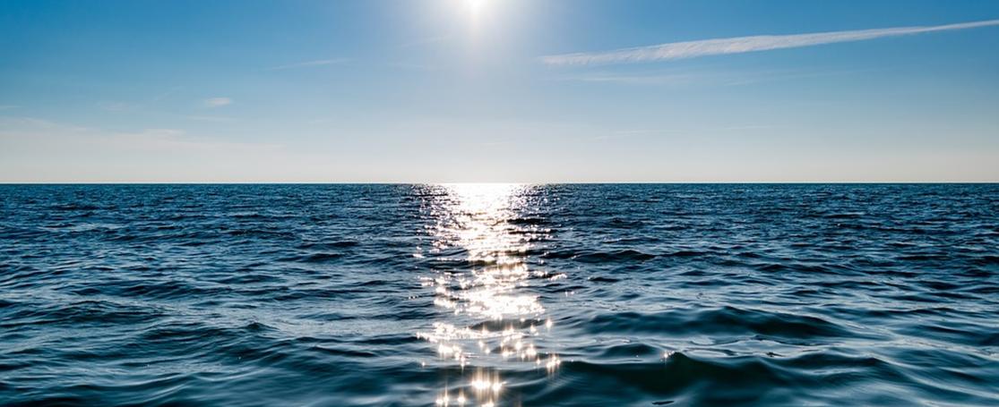 BIN marine carbon accounting