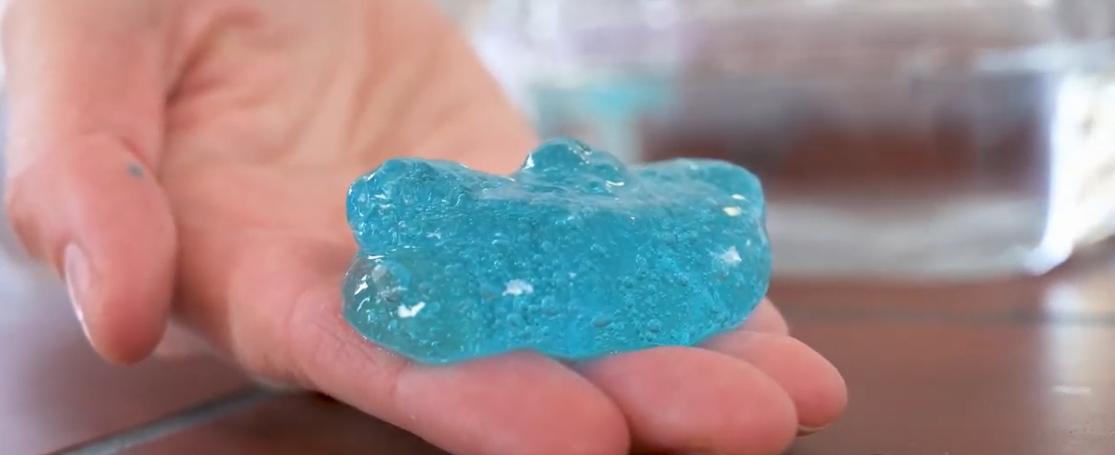 PlaneetZee ecosysteemdiensten algen