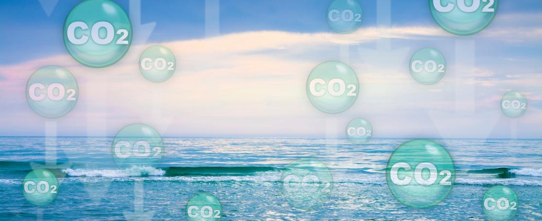 rol van oceaan in het Global Carbon Budget