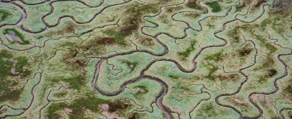 Scheldesymposium 2024