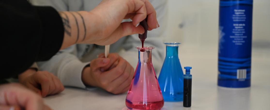 Wild van Water - bijscholing leerkrachten lagere school