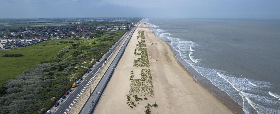 Dronebeeld van de ‘duin voor dijk’ in Raversijde (foto Glenn Strypsteen)