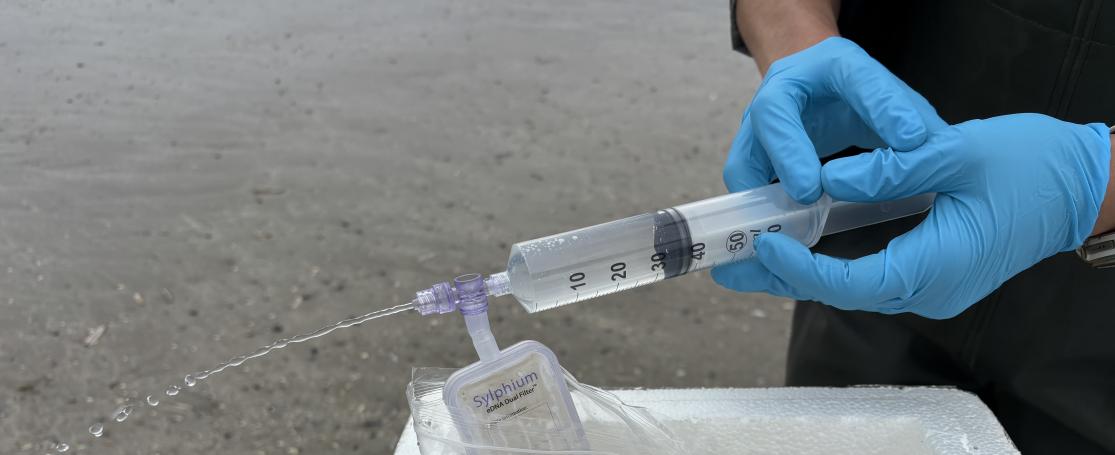 eDNA stalen nemen op het strand