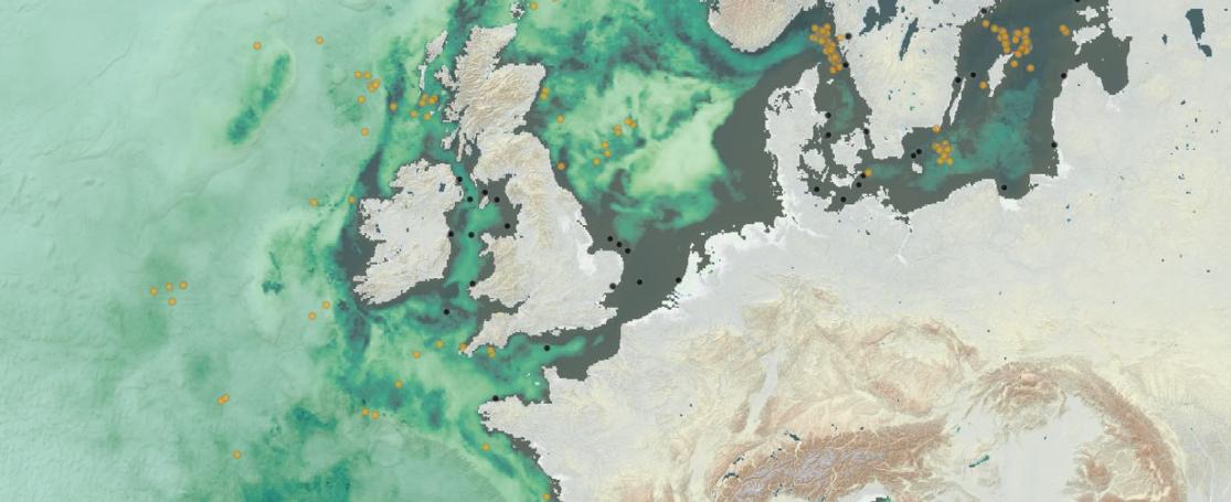 Chlorophyl - Ferrybox - Underwater glider