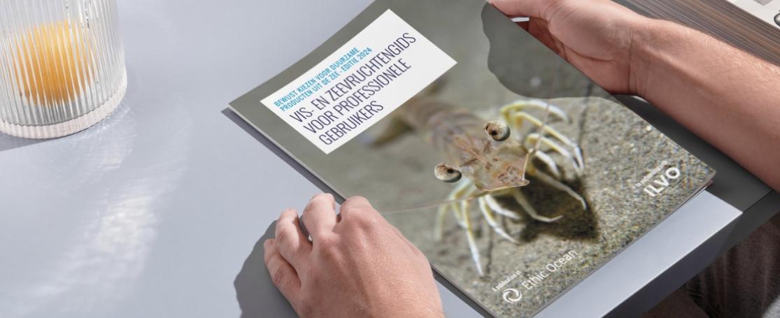 Vis- en Zeevruchtengids 2024