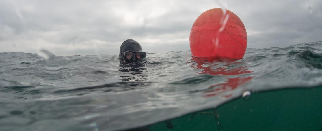 VLIZ-duikteam in actie
