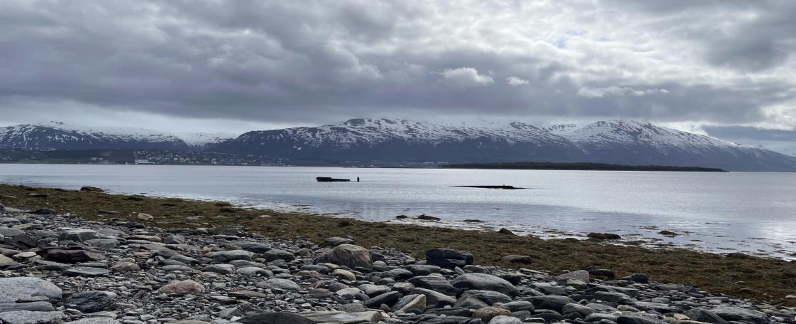 Resten Tirpitz, kust Håkøya, nabij Tromsø, Noorwegen