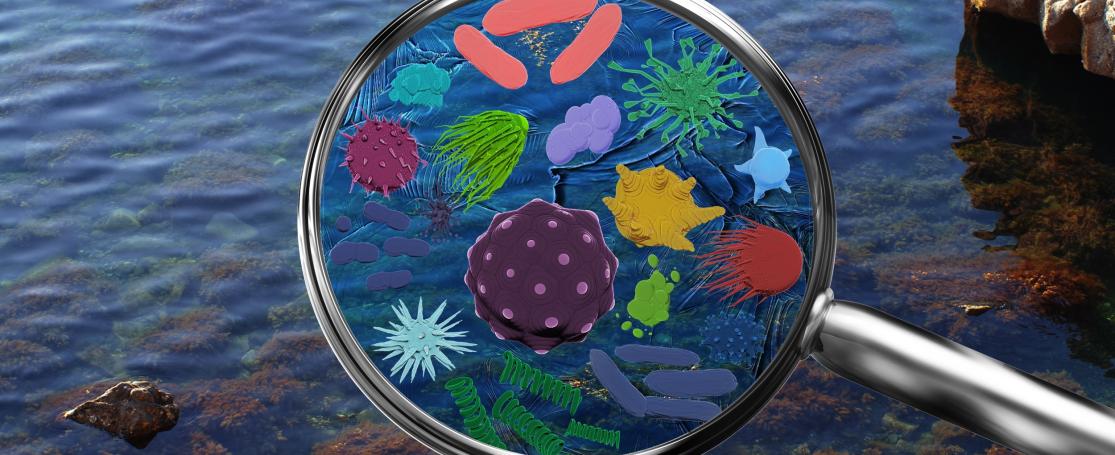 Magnifying lens with simulated plankton, germs, viruses, bacteria. Coast