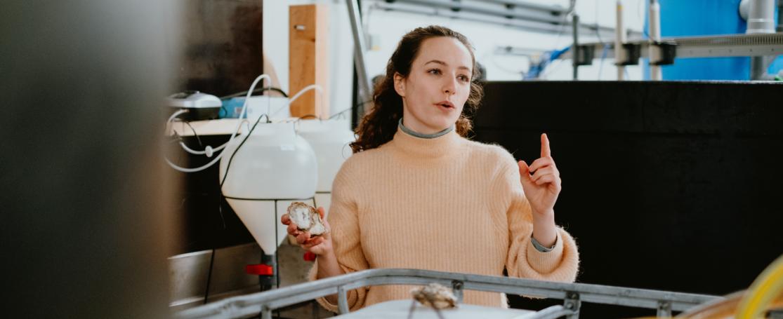 Sarah Schmidlin in lab experimenten met Japanse oesterlarven