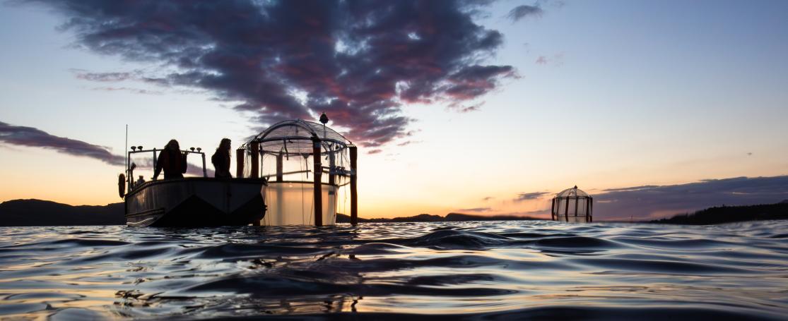 marine Carbon Dioxide Removal techniek