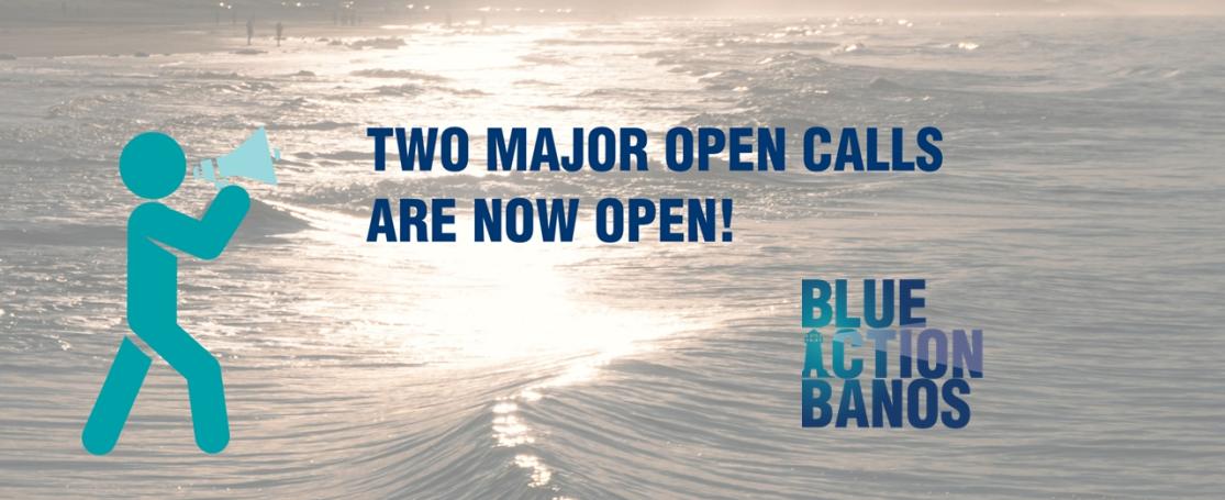 BlueActionBANOS call