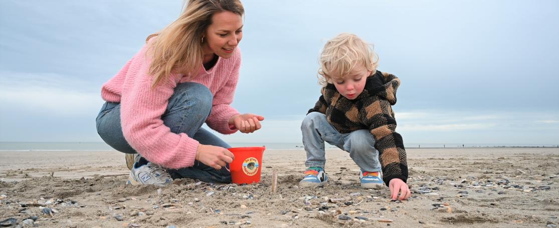 Tellers op het strand tijdens Grote Schelpenteldag