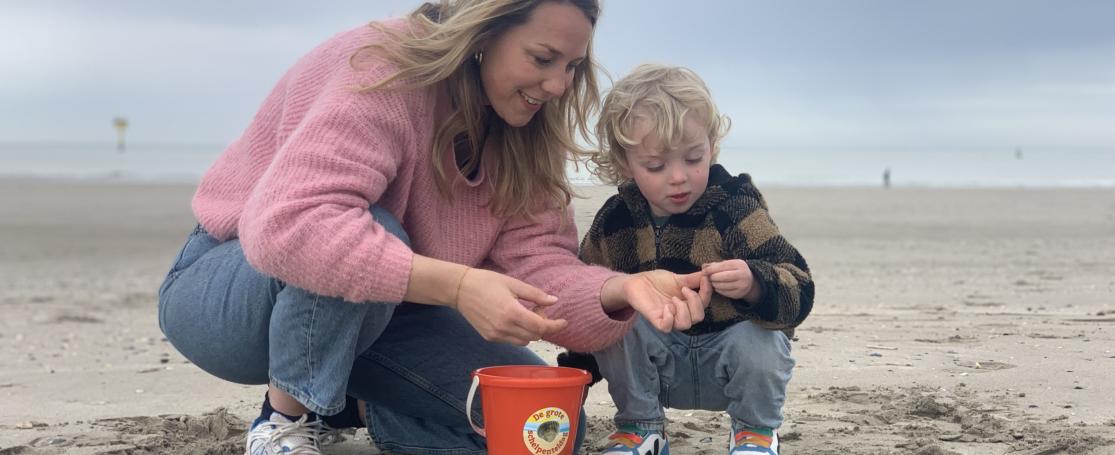 Een staal verzamelen op het strand tijdend de Grote Schelpenteldag