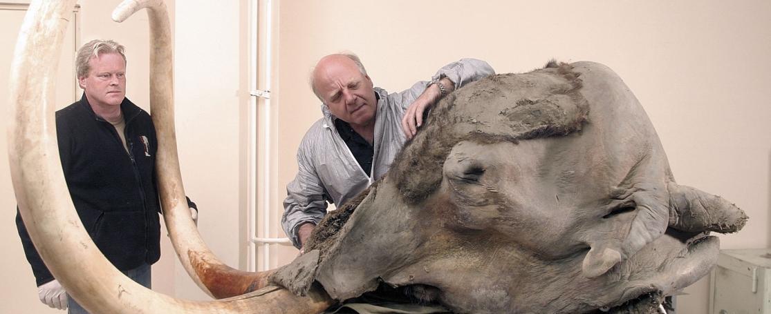  Dick Mol, Nederlands ijstijdfauna expert
