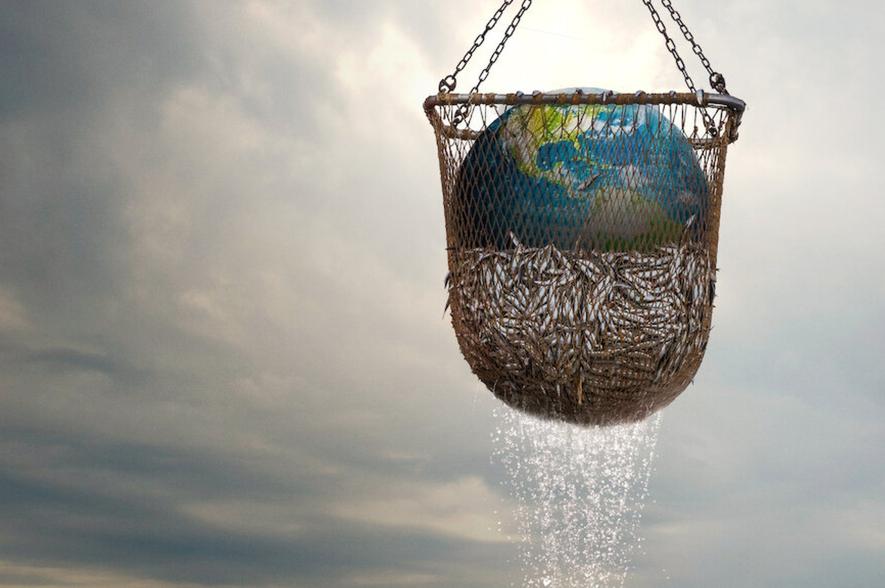 Seaspiracy: feiten of fabels?