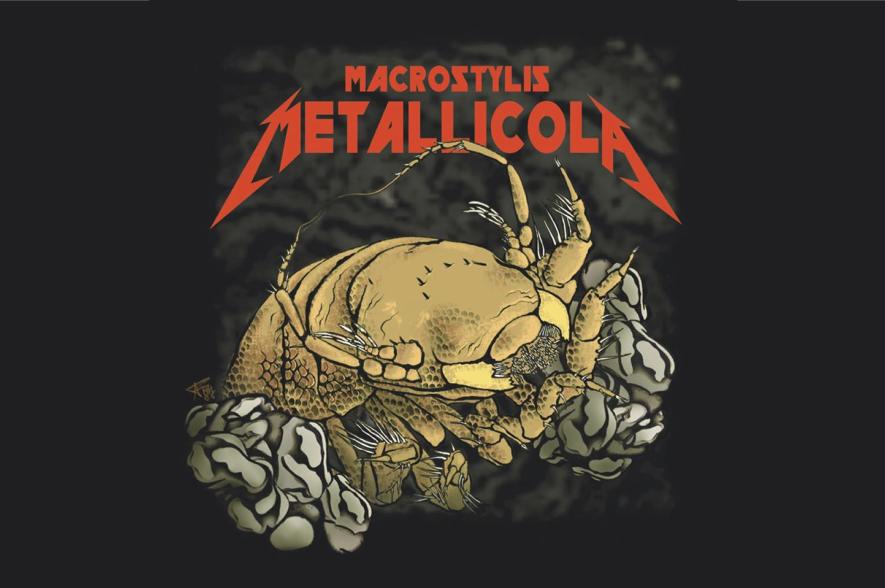 De diepzeepissebed Macrostylis metallicola