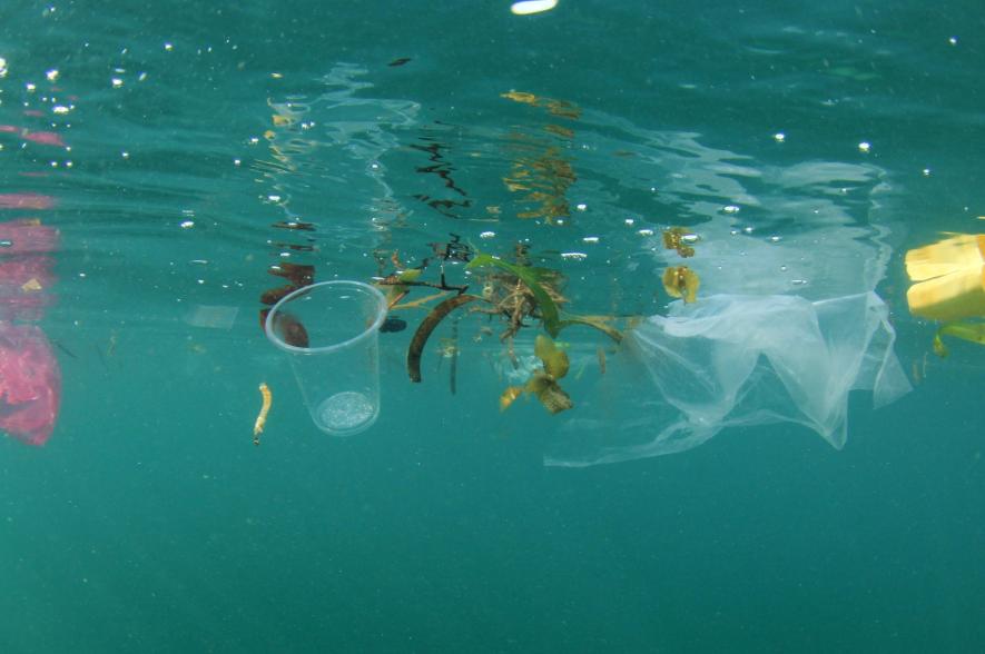 marine plastic pollution