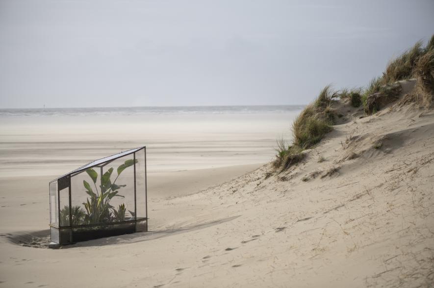 De ‘Wardian Case’ van Sammy Baloji