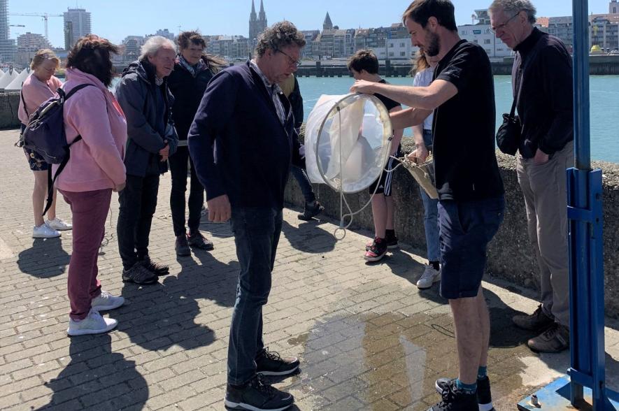 Een planktonstaalname in de haven van Oostende tijdens het burgerwetenschapsfestival ZEEKERWETEN